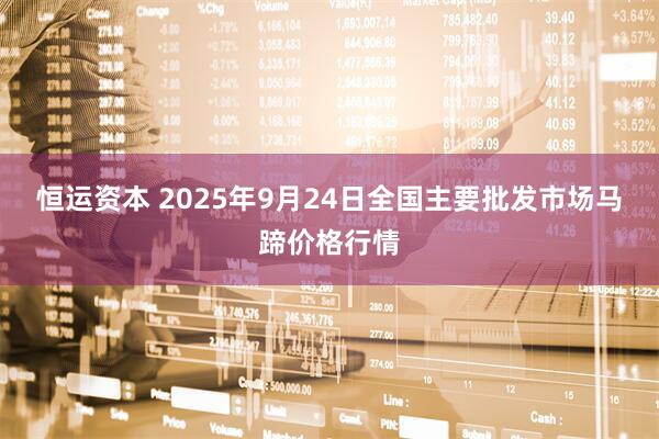 恒运资本 2025年9月24日全国主要批发市场马蹄价格行情