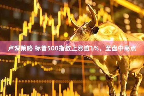 卢深策略 标普500指数上涨逾1%，至盘中高点