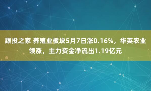 跟投之家 养殖业板块5月7日涨0.16%，华英农业领涨，主力资金净流出1.19亿元