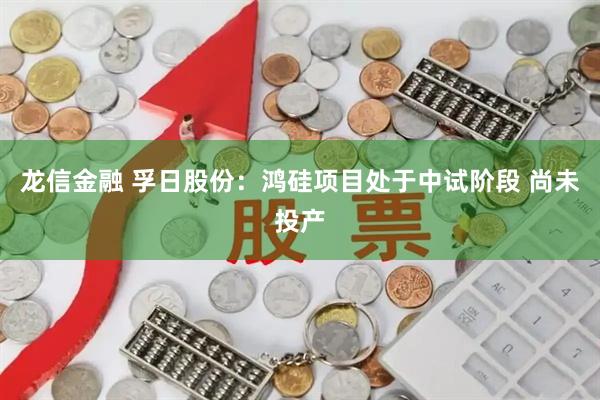 龙信金融 孚日股份：鸿硅项目处于中试阶段 尚未投产
