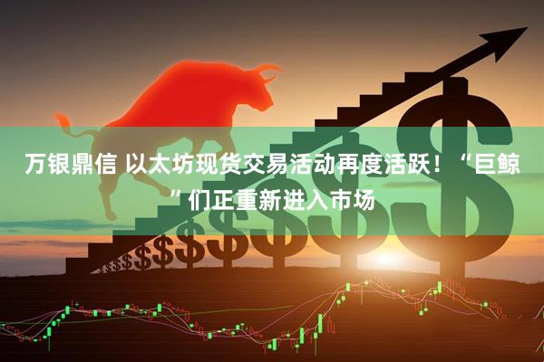 万银鼎信 以太坊现货交易活动再度活跃！“巨鲸”们正重新进入市场