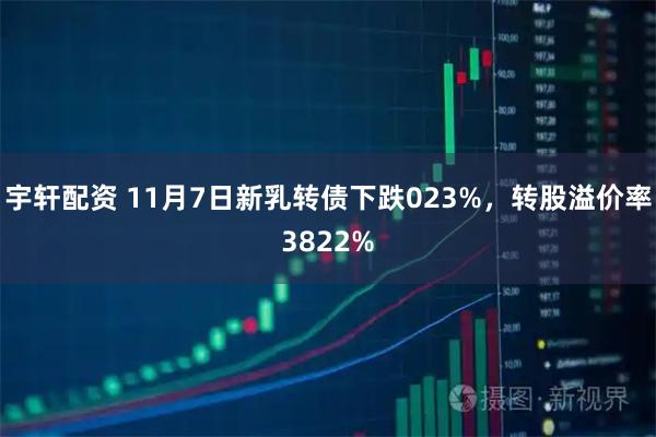 宇轩配资 11月7日新乳转债下跌023%,转股溢价率3822%